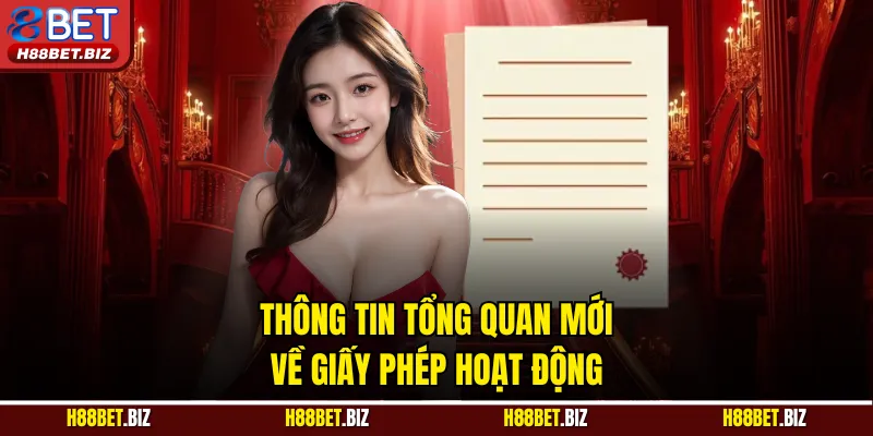 Thông tin tổng quan mới về giấy phép hoạt động
